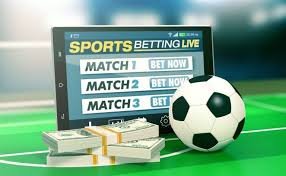 77bd Bet Your Ultimate Online Betting Experience -95693060